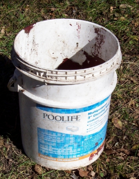 best poolife