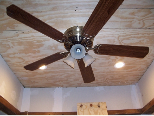 ceiling fan