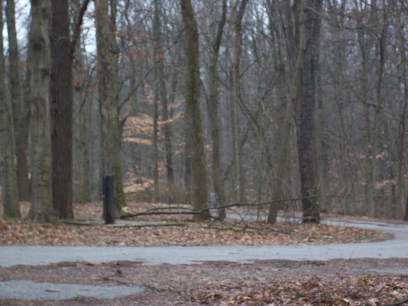 TURKEY RUN