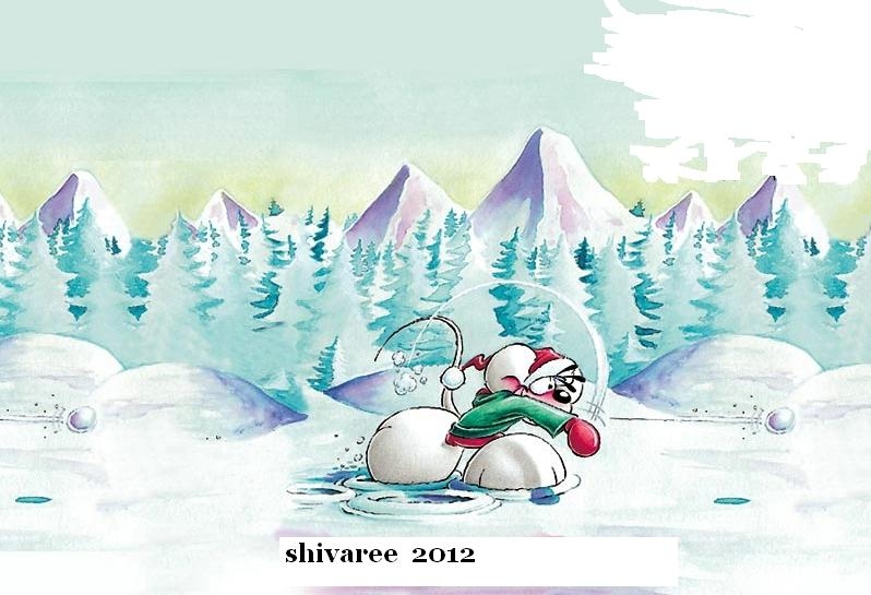 2012 shivaree