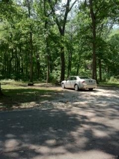 site50