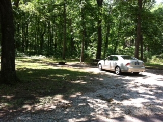 site50b