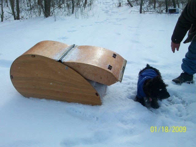 sadies doghouse