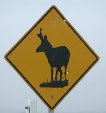 arkansas sign