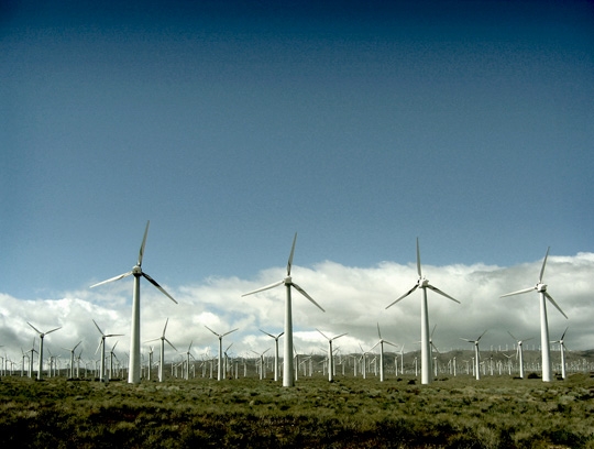 Windfarm