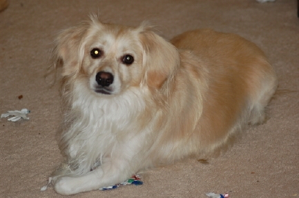 Corky