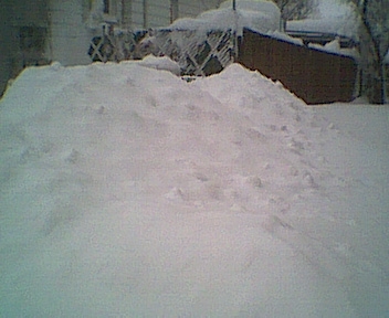 Snow pile- Wood fence is 6 ft.