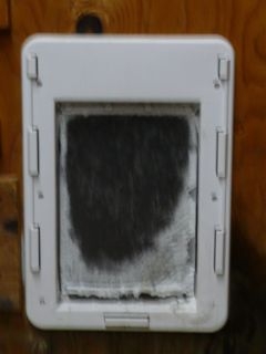 frosty cat door