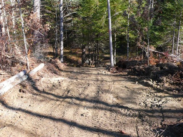 new trail