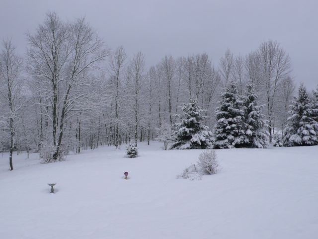 still winter