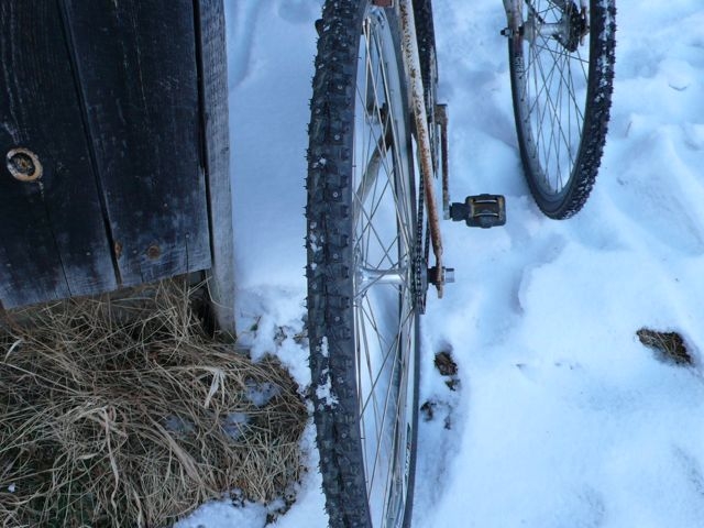 studded road tire on fixie