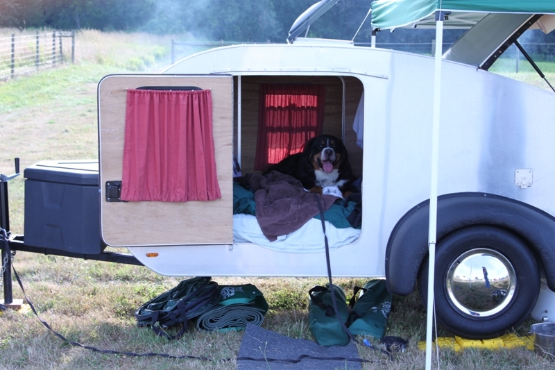 Summer Daze 2011