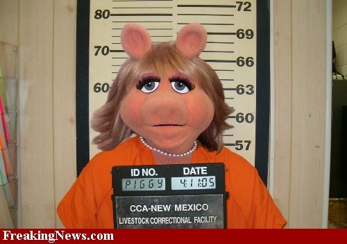 badmspiggy