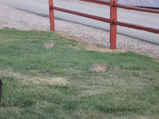 Casper Wyoming
