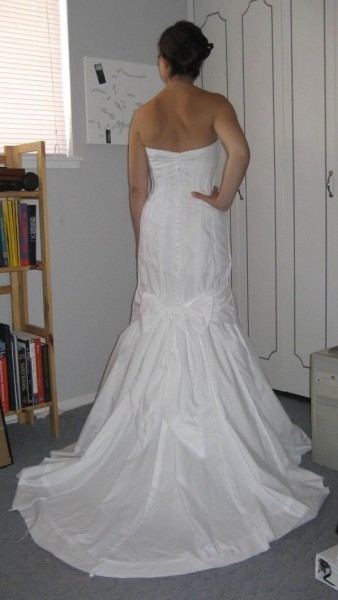 the dress