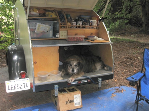 Goldie's spot