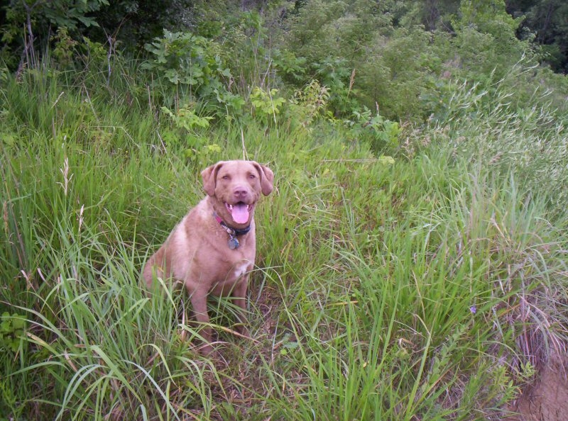 my very happy traveling companion!