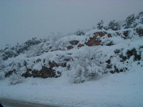 SNOW SNOW SNOW!!!