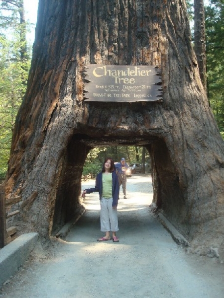 Brandie at the Drive Thru Tree