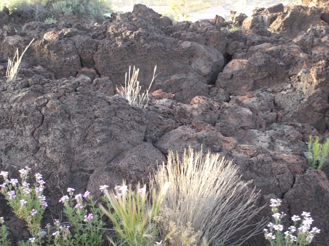 Lava outcropping. Grants, NM