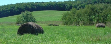 A view heading to the highway.