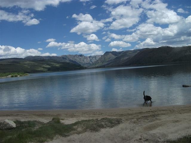 DSCF3372 (Small)