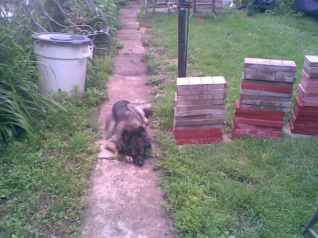Supervisor