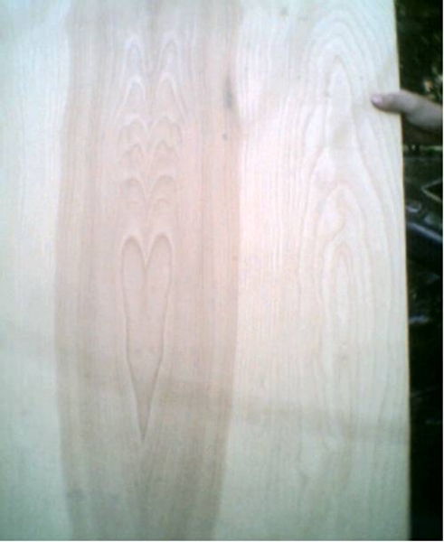 Seans heart veneer for sides