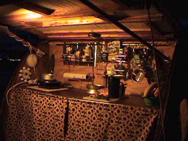 Galley With Sunflower Curtain