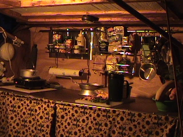 Galley With Sunflower Curtain