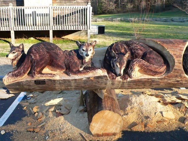 Foxes Have Holes
