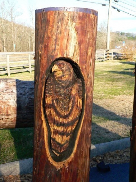 Birds Have Nests