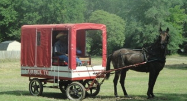 Juneteenth 2010 i