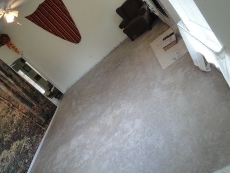 BEFORE - Carpet