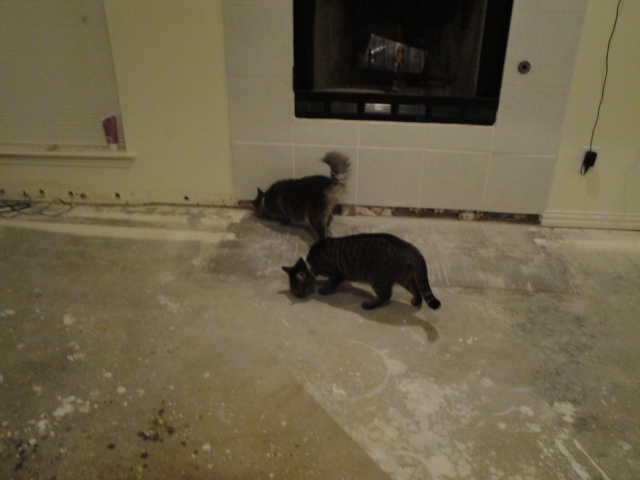 Removal Quality Inspectors