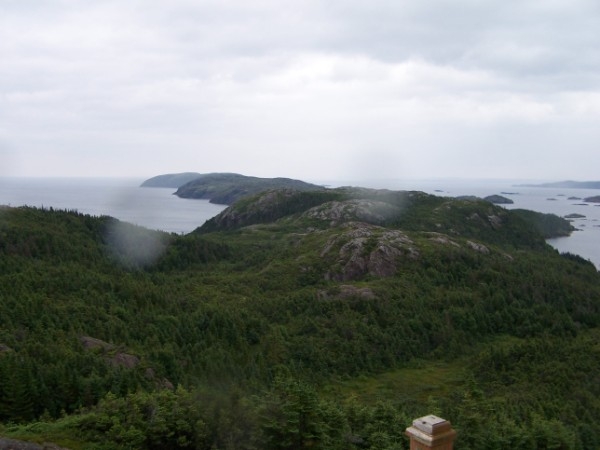 Looking out Pikes Arm from observation deck on Town trail