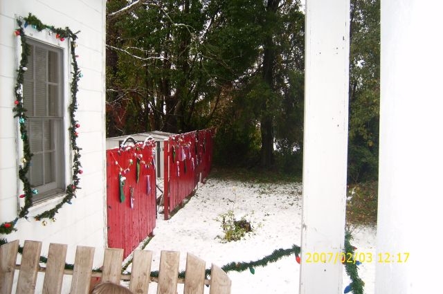 sneaux along the fence