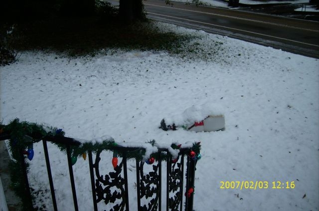 sneaux in the front yard