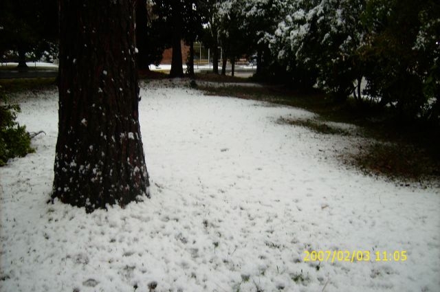 sneaux in side yard