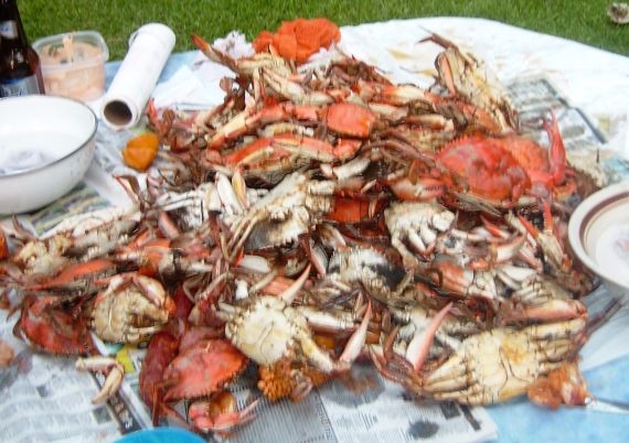 Steaming Hot Boiled Crabs