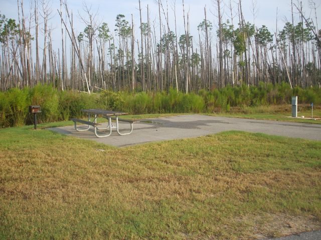 Typical Camp site at Gulf State Park