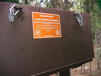 Bears! Camp bear box.