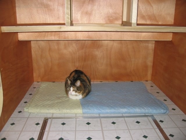 Kali, she has spent more time here than I have!!