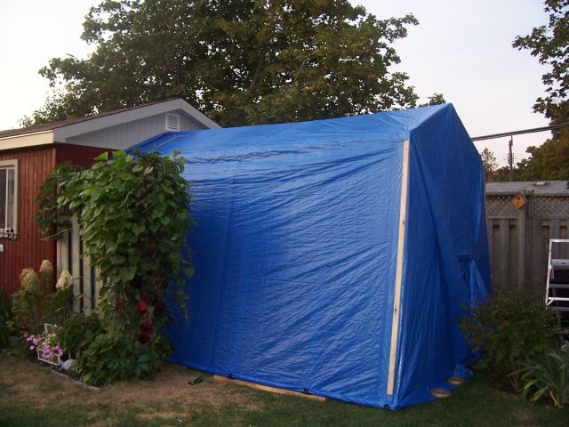 shelter