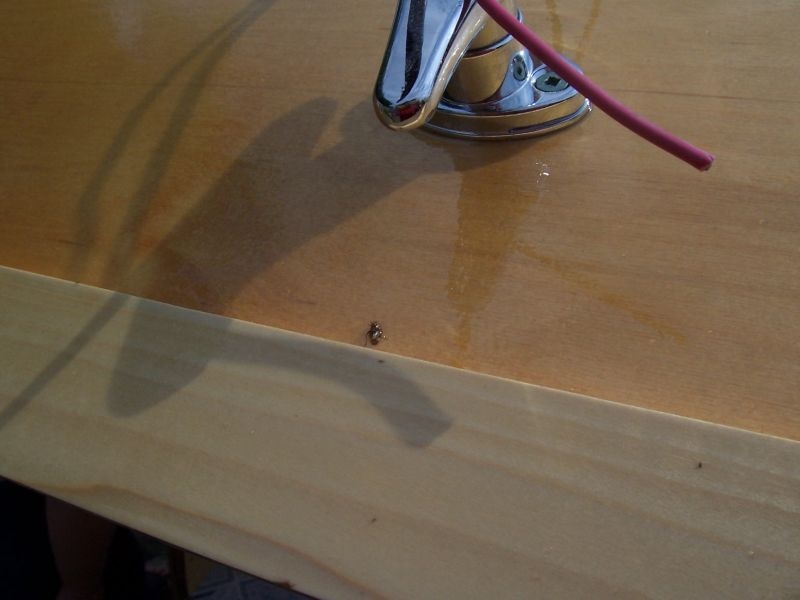 Sonetpro's bug...