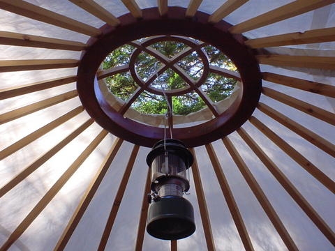 Inside looking up