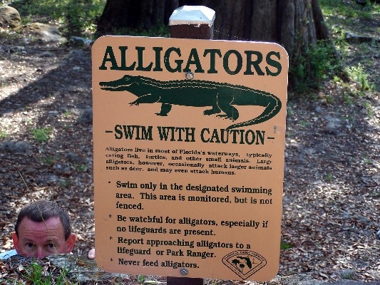 gator bait