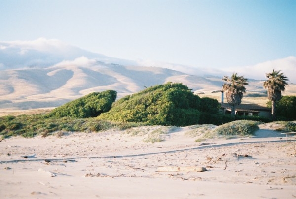 Look back over the protected store towards the MT.