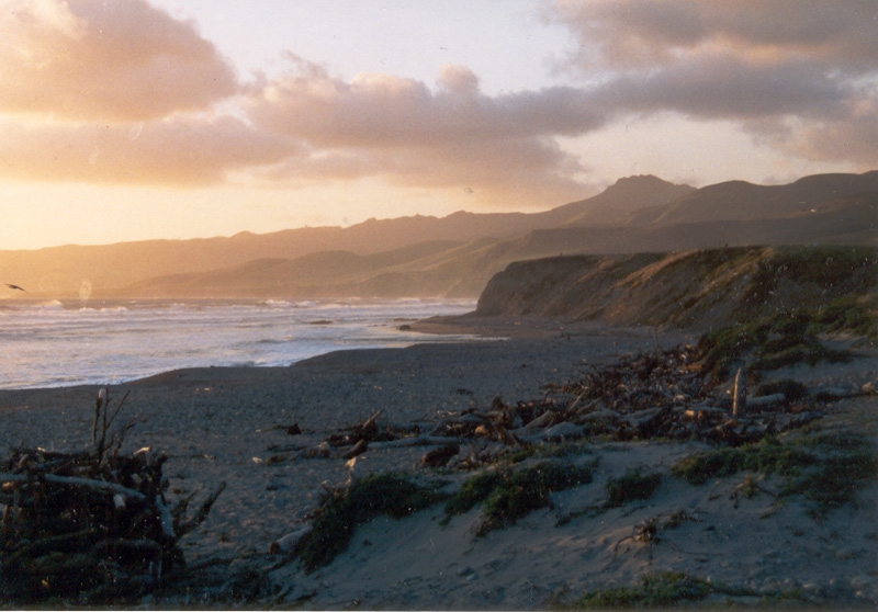 Drift wood & spirits of the past come to my eve's  fire