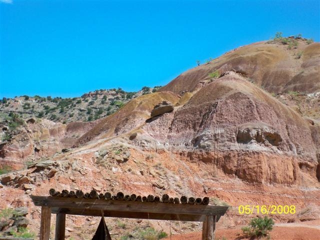 paloduro7